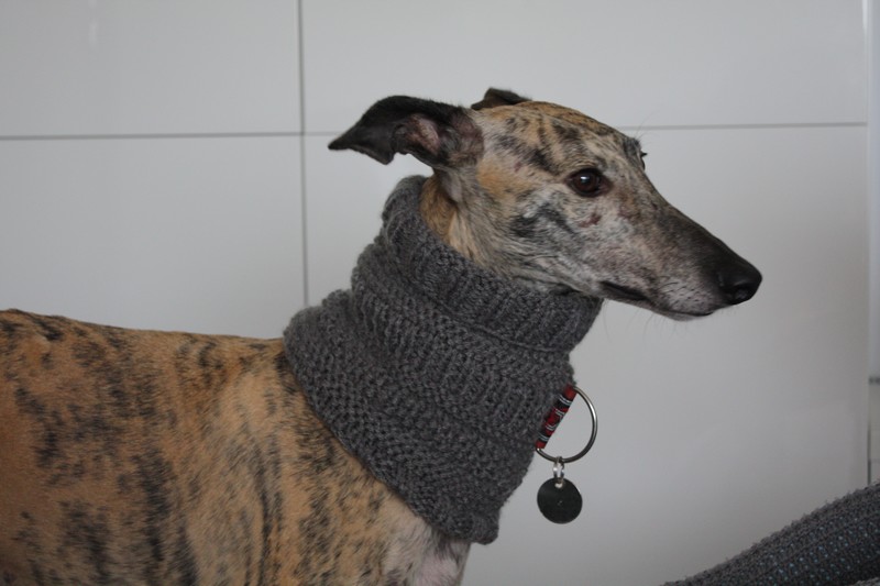 Snoods