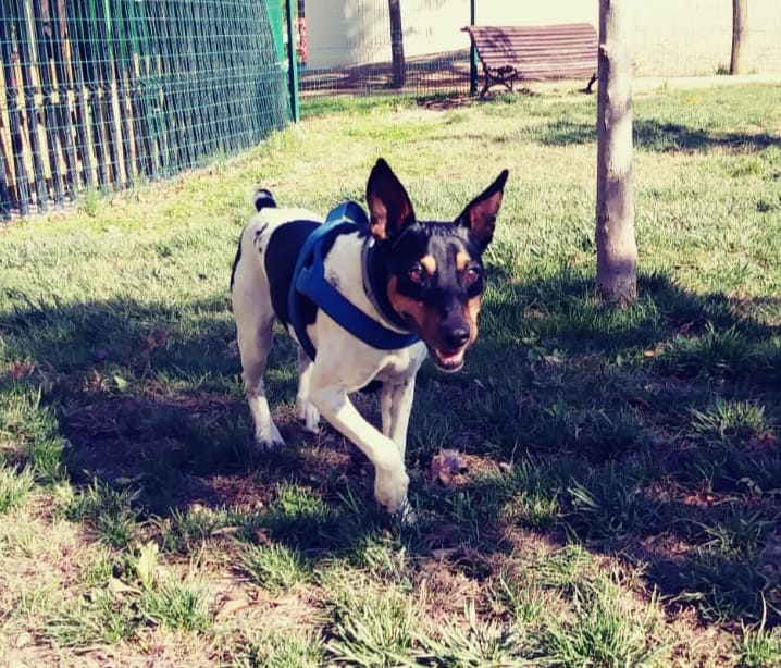 Basi (bodeguero) (M)