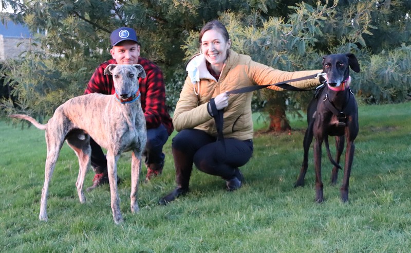 Horus (M) adopté avec Patita