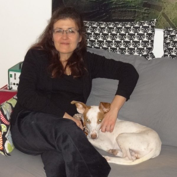 Mide podenco