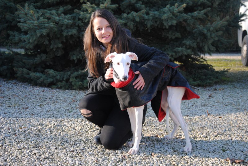 Huella BB  galga