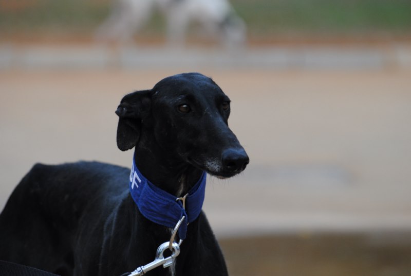 Angelito (M)