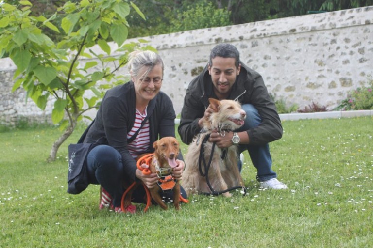 Bidule (podenco maneto )(M)