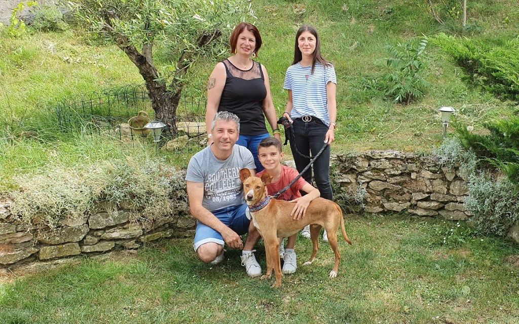 Catrino (podenco) (M)