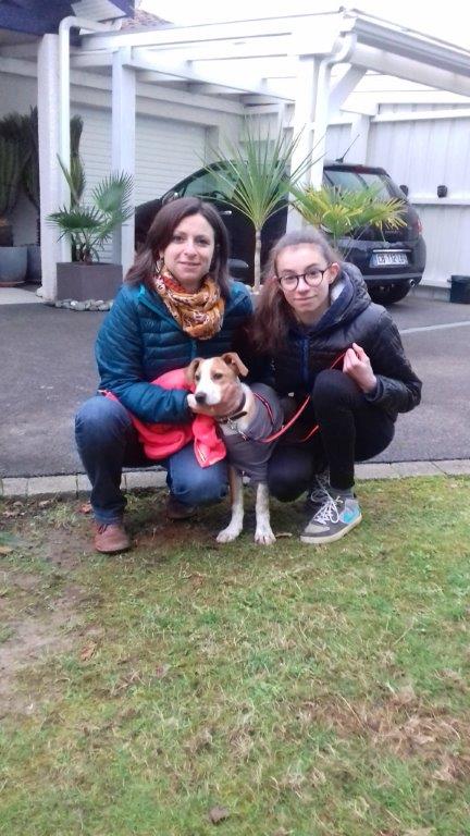 Chop (BB) (podenco) (M)
