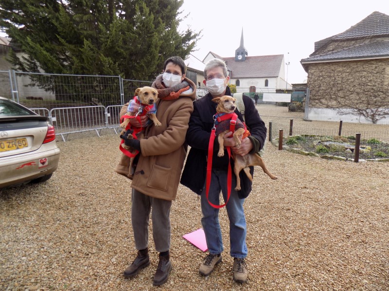 Choupy (podenco) (M)
