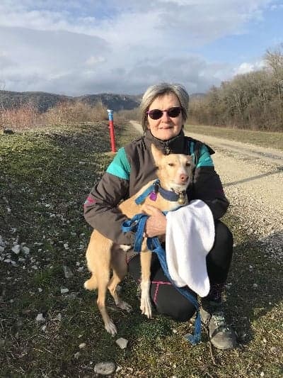 Eneko (podenco) (M)