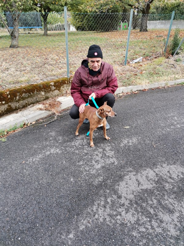 Félix (podenco) (M)