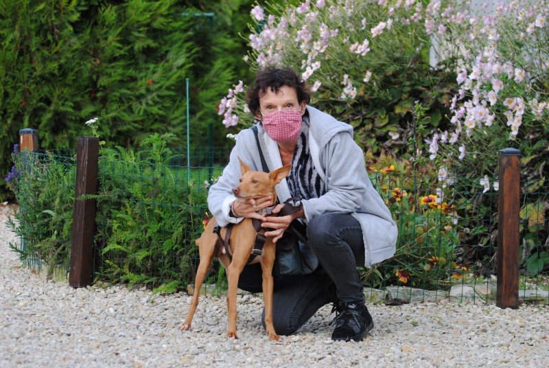 Gaspar (podenco) (M)
