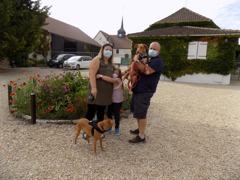 Hans (podenco) (BB) (M)