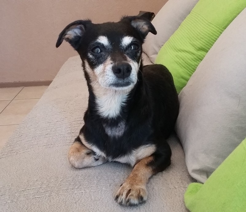 Marguerite (F)