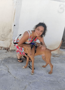 Milo (podenco) (BB) (M)