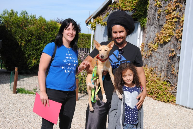 Oki (podenco) (M)