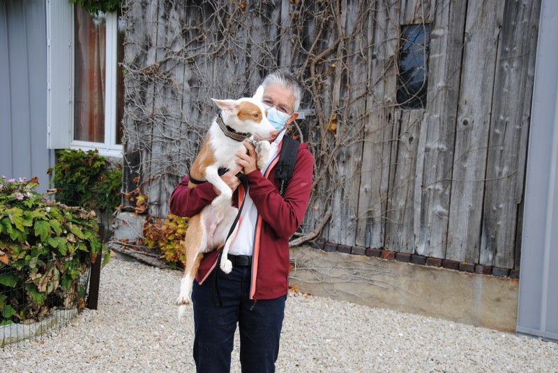 Pepin (podenco) (M)