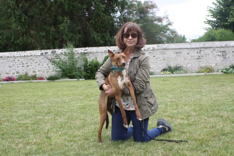 Soki (podenco) (M)