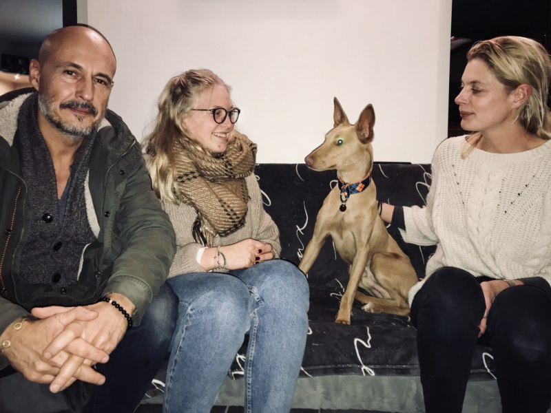 Tambor (podenco) (M)