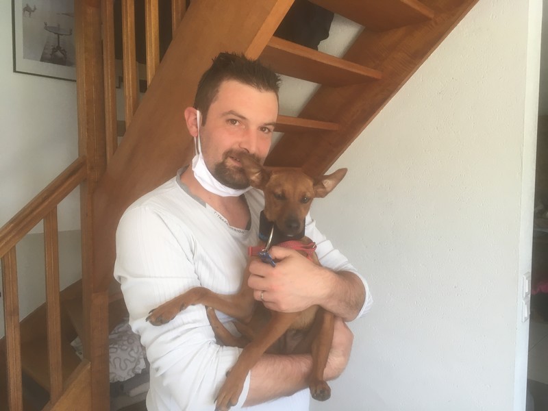 Théo (podenco) (BB) (M)