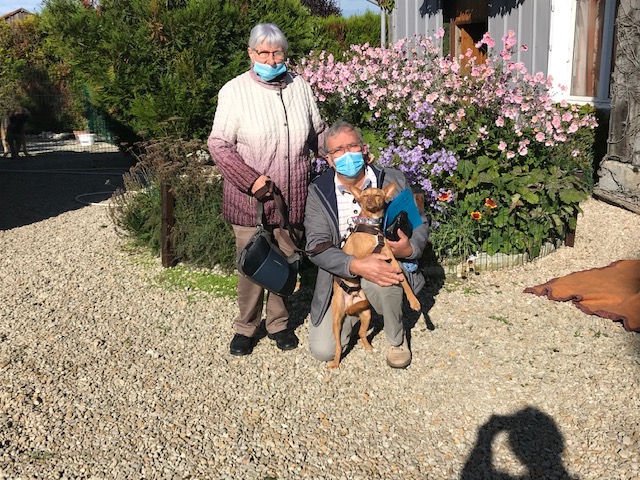 Sylvain renommé Uno  (podenco) (M)