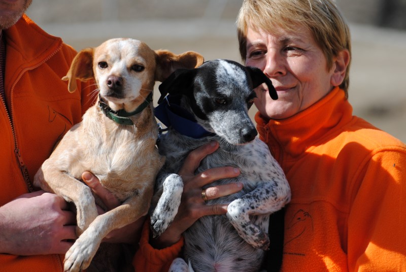 BELLY ET ALICIA (F) Abyda Adoptées