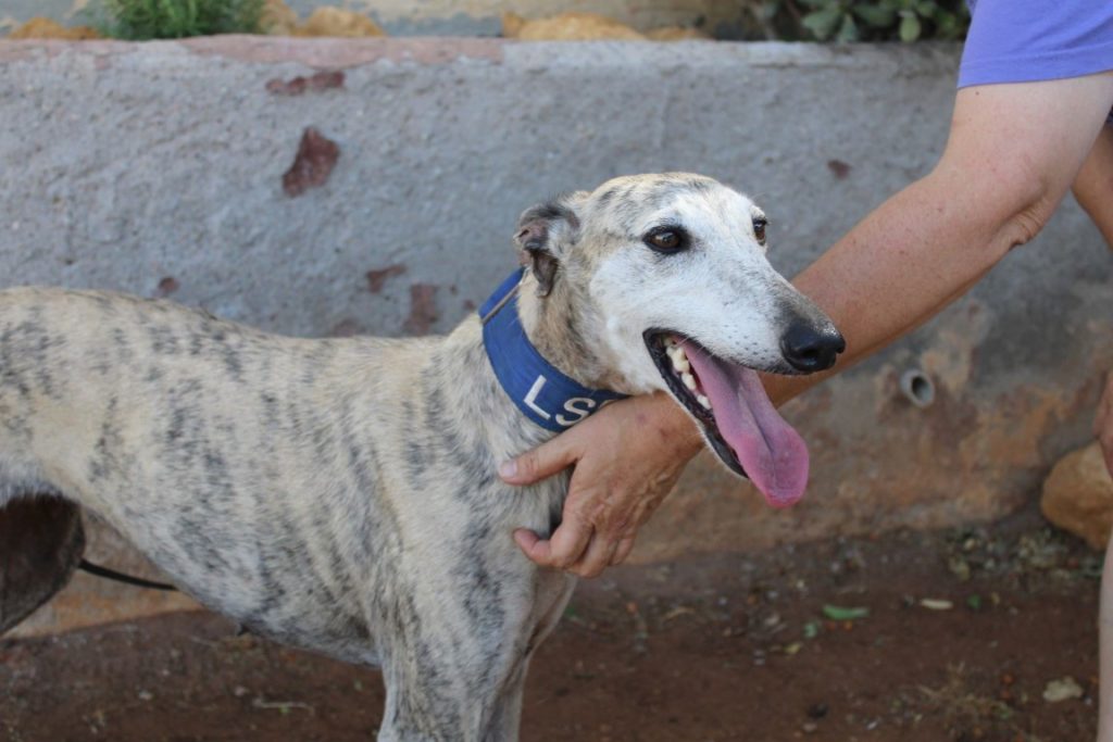 ATHINA (F) Adoptée