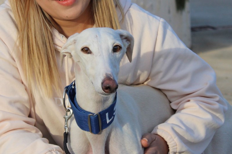 Coconut (F) FBM Adoptée