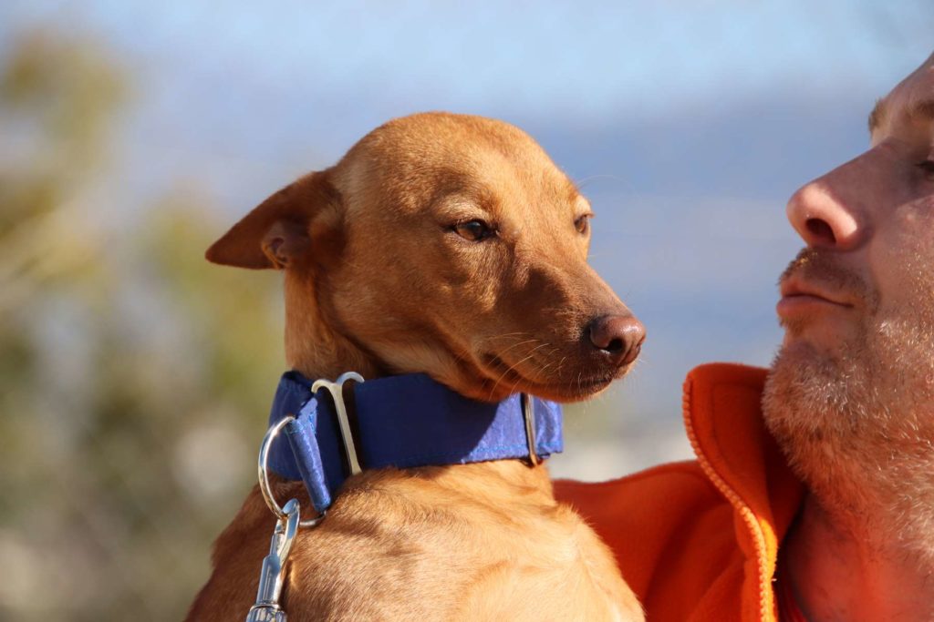 NATCHO (M) / Pod / Abyda Adopté