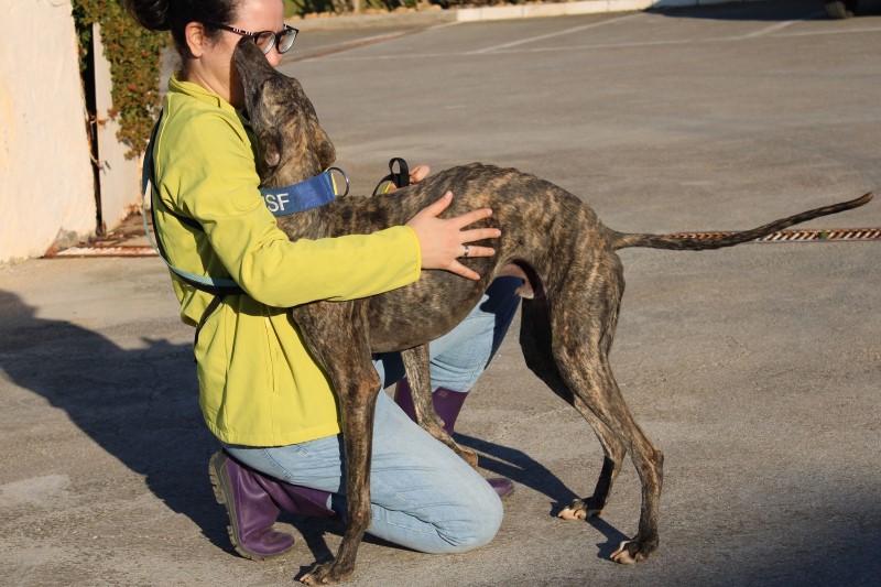 Mbizou (M) / FBM Adopté