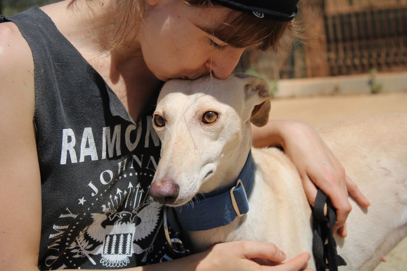 Amanda (F) / FBM Adoptée