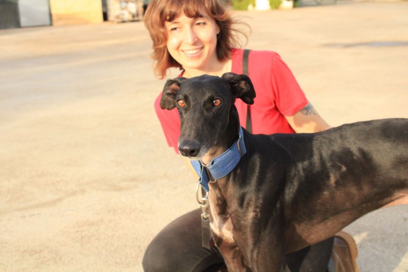 Fidencio(M) FBM Adopté