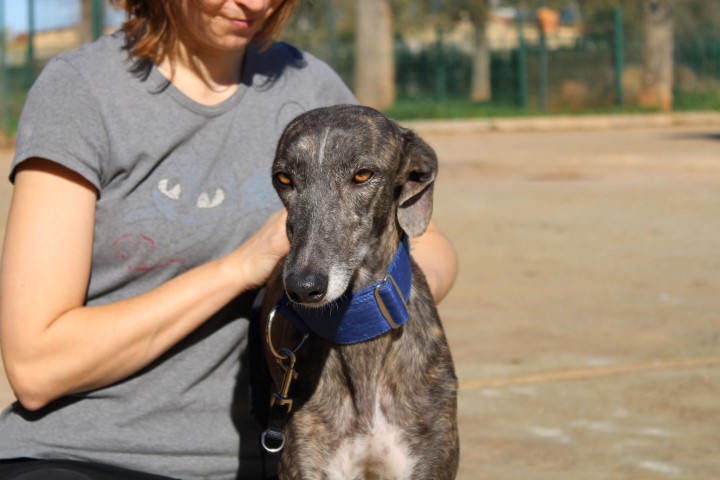 Megara (F) / FBM Adoptée