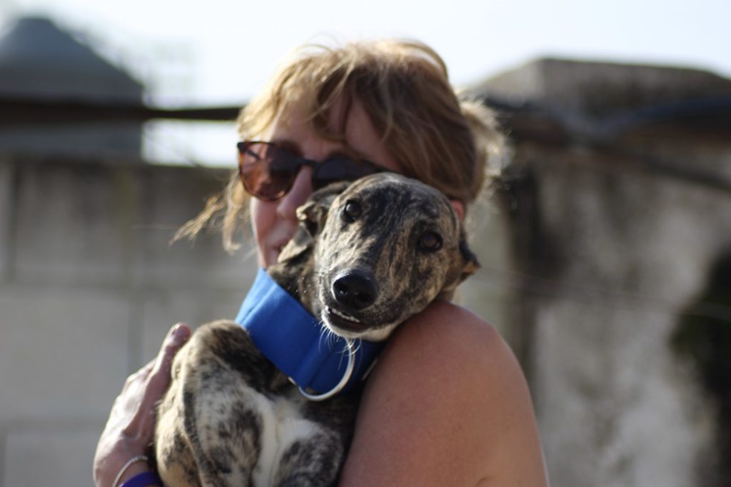 Pitchoun (M) / Ecija Adopté