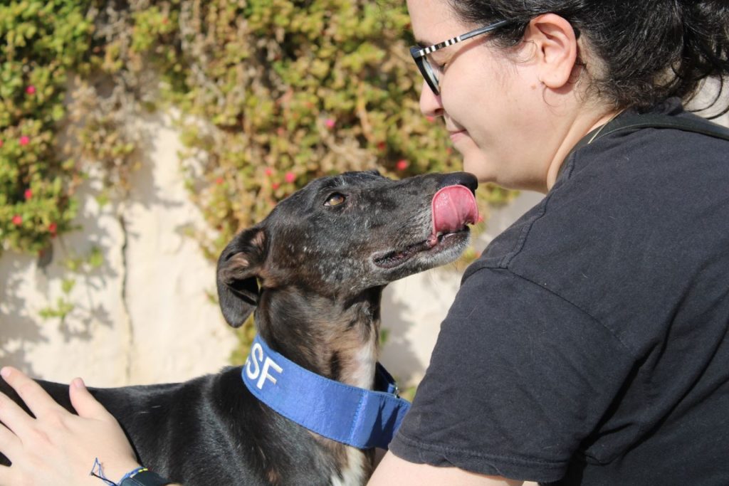 Ophelia (F) FBM Adoptée