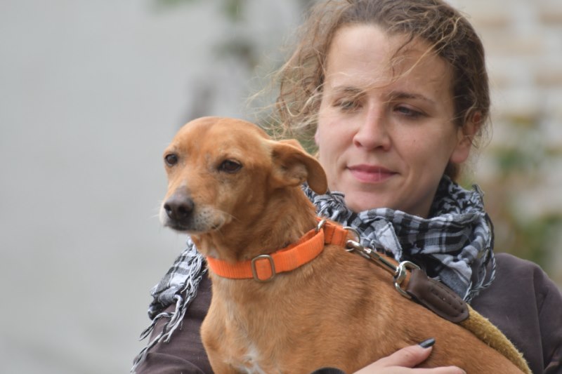 Roberto (M) / Pod / Ecija / Plus d’un an de refuge Adopté