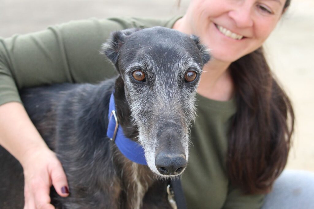 Achille (M) / FBM Adopté