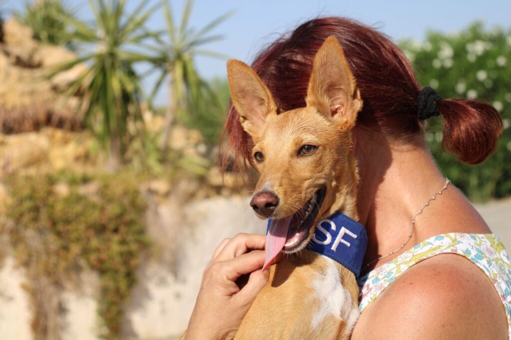 Consuela (F) / Chiot Pod / Refuge FBM