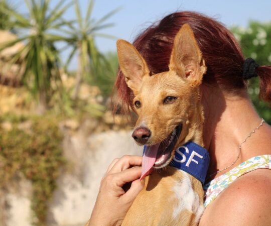 Consuela (F) / Chiot Pod / Refuge FBM