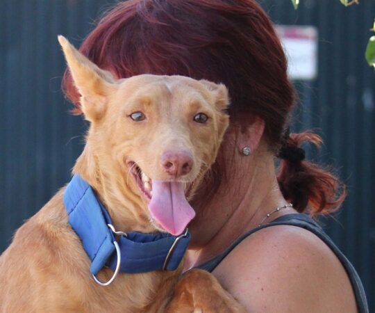 Candela (F) Pod Refuge de la FBM