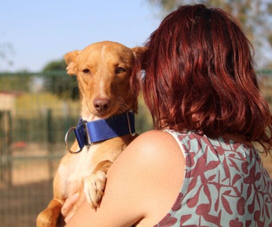 German (M) Pod Refuge de la FBM