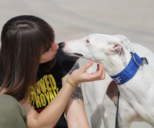 Aroa (F) Hôpital du Refuge de la FBM/ Adoptée