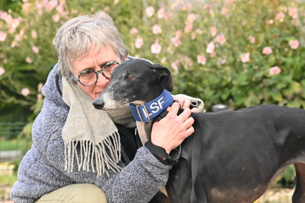 Marchi (F) Senior / Déjà en France en accueil dans le 02