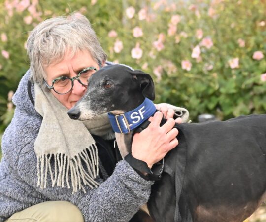 Marchi (F) Senior / Déjà en France en accueil dans le 02