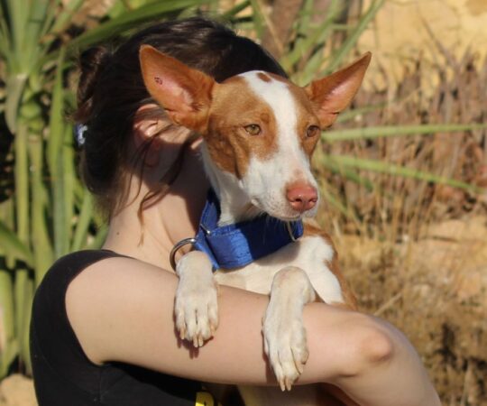 Martin (M) Pod / Refuge de la FBM.