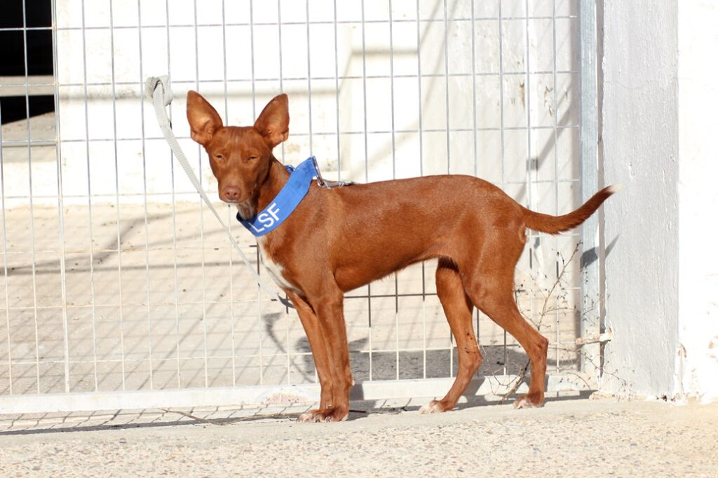 Berta (F) Pod / Refuge d’Ecija