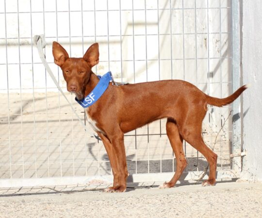 Berta (F) Pod / Refuge d’Ecija