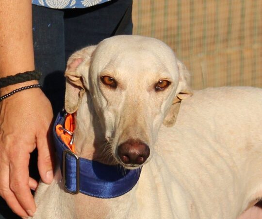 Joya (F) Refuge de la FBM