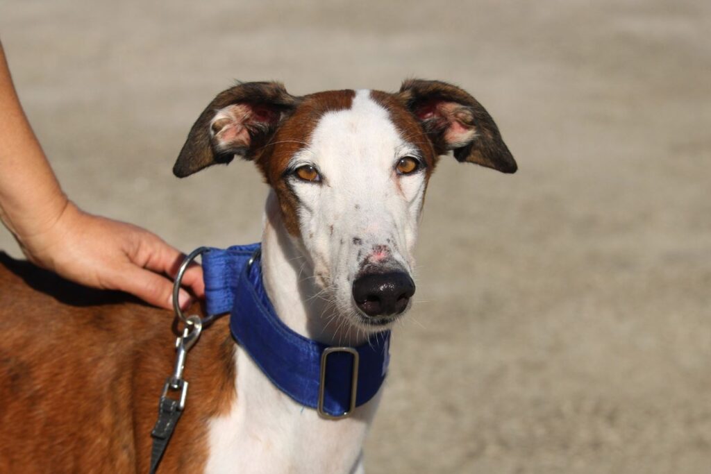 Kreta (F) Refuge de la FBM