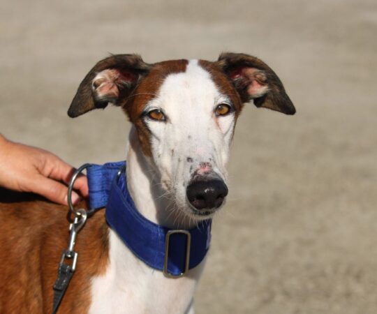 Kreta (F) Refuge de la FBM