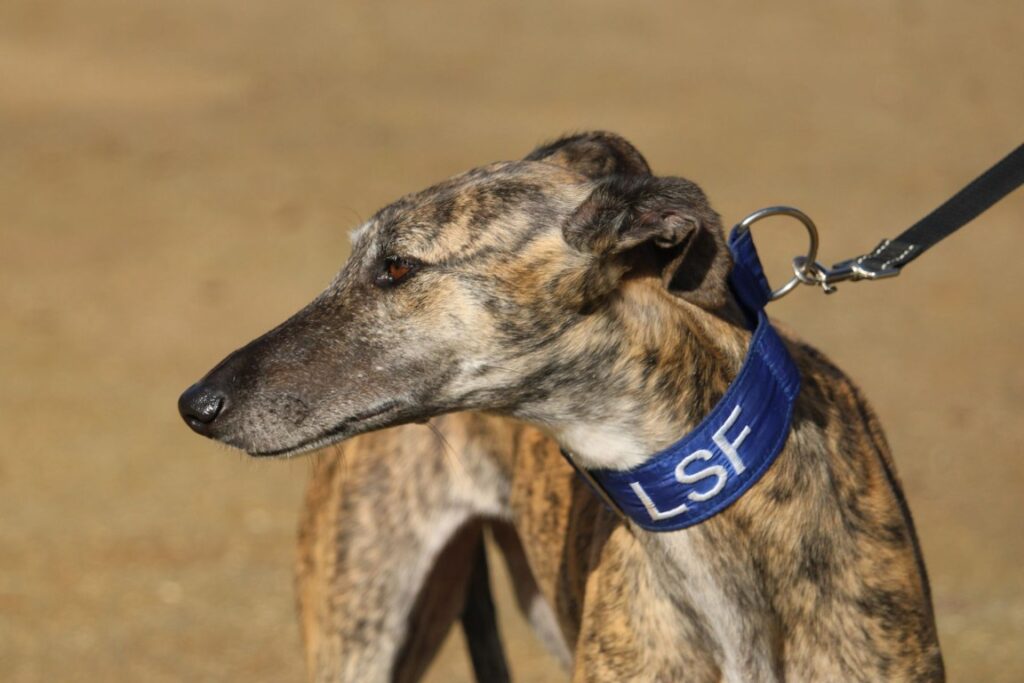 Aina (F) Refuge de la FBM