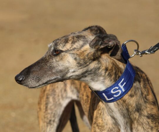 Aina (F) Refuge de la FBM