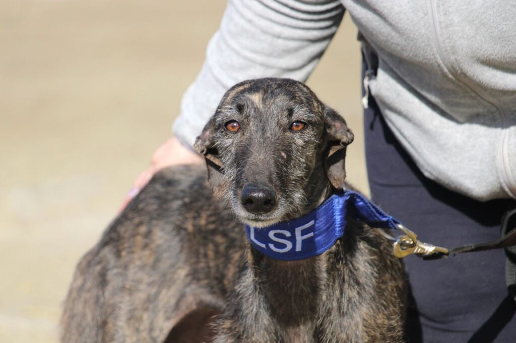 Sol (F) Refuge de la FBM